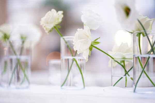 הסיינדה אולם