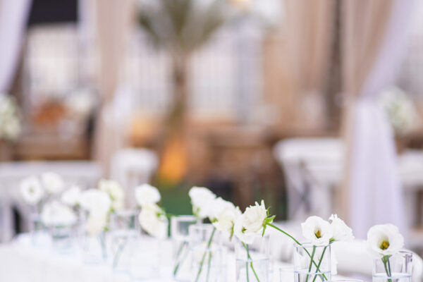 הסיינדה אולם