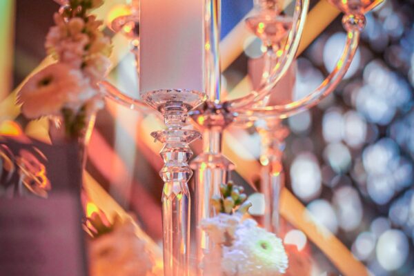 הסיינדה עיצוב